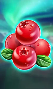 Winterberries